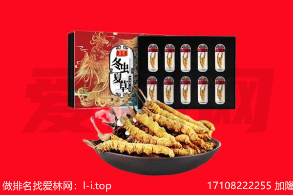 洛川县回收虫草.jpg